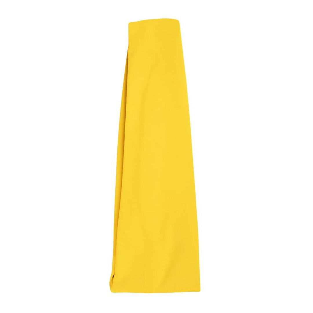 Energetiks Soft Moisture Wicking Dance and Training Headband